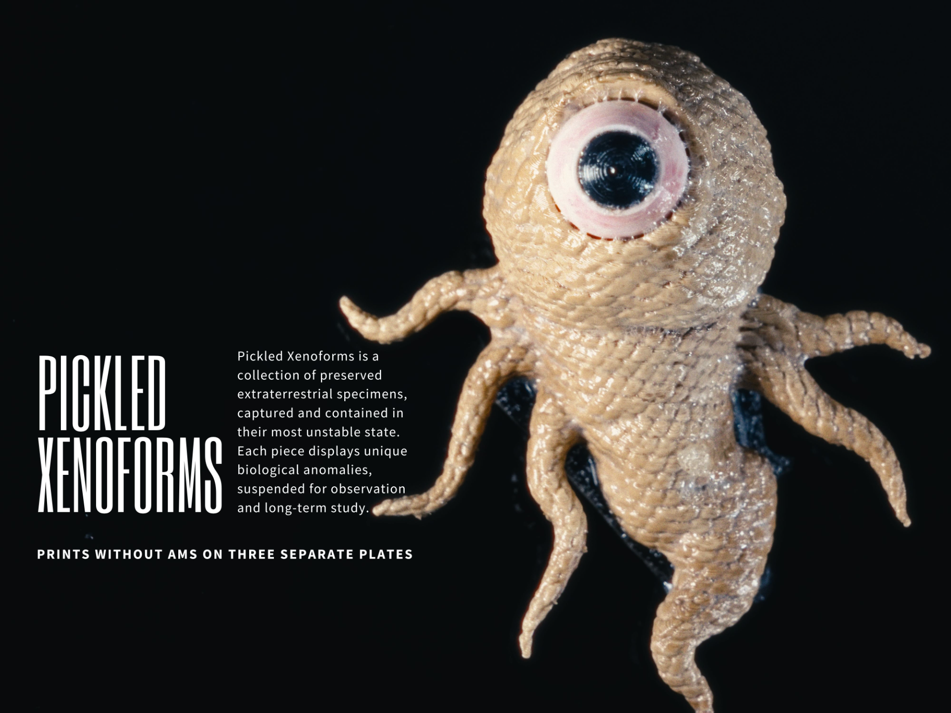 Pickled Xenoforms: Specimen 1