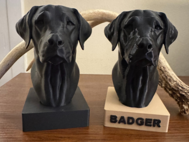 Labrador Retriever Bust