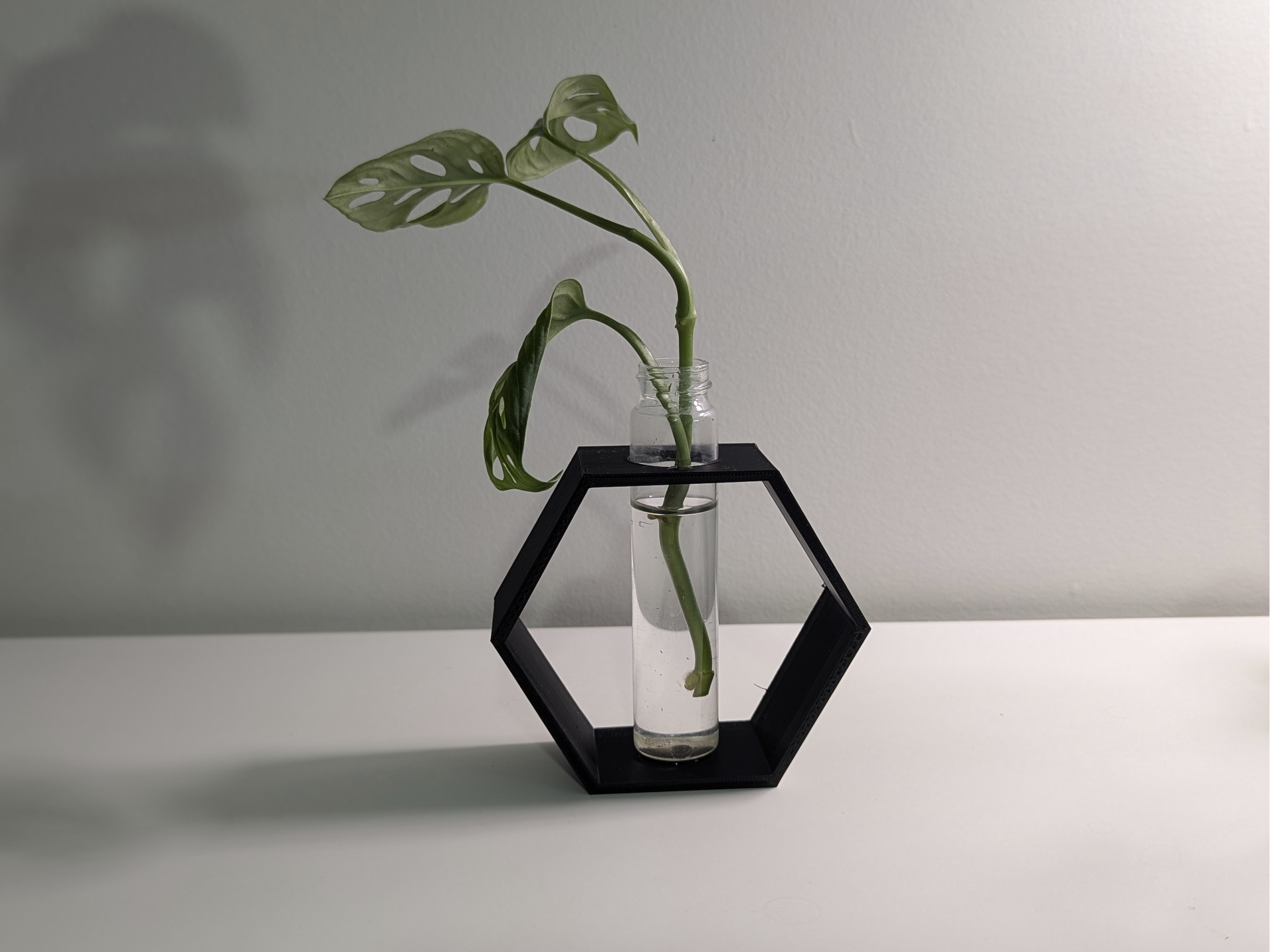 Plant Propagation Hexagon Cuttings Holder 22 mm