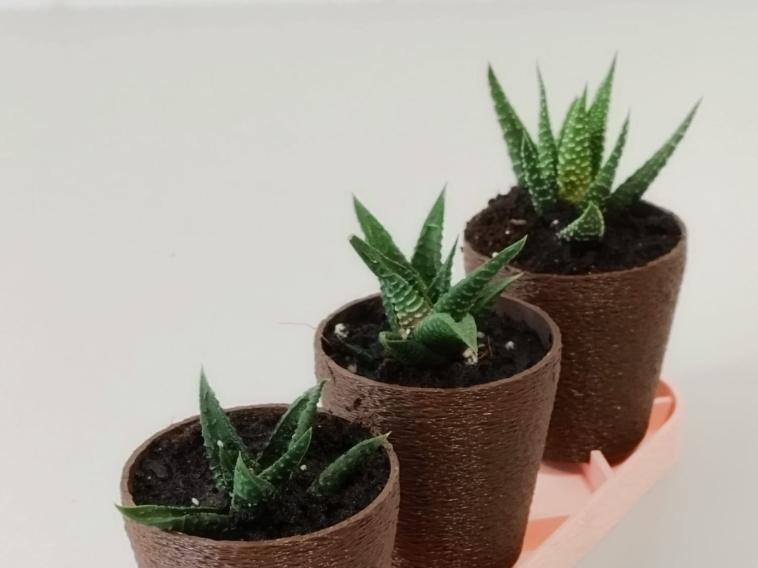 Set de 3 Mini Macetas con Base, Pala y Regadera