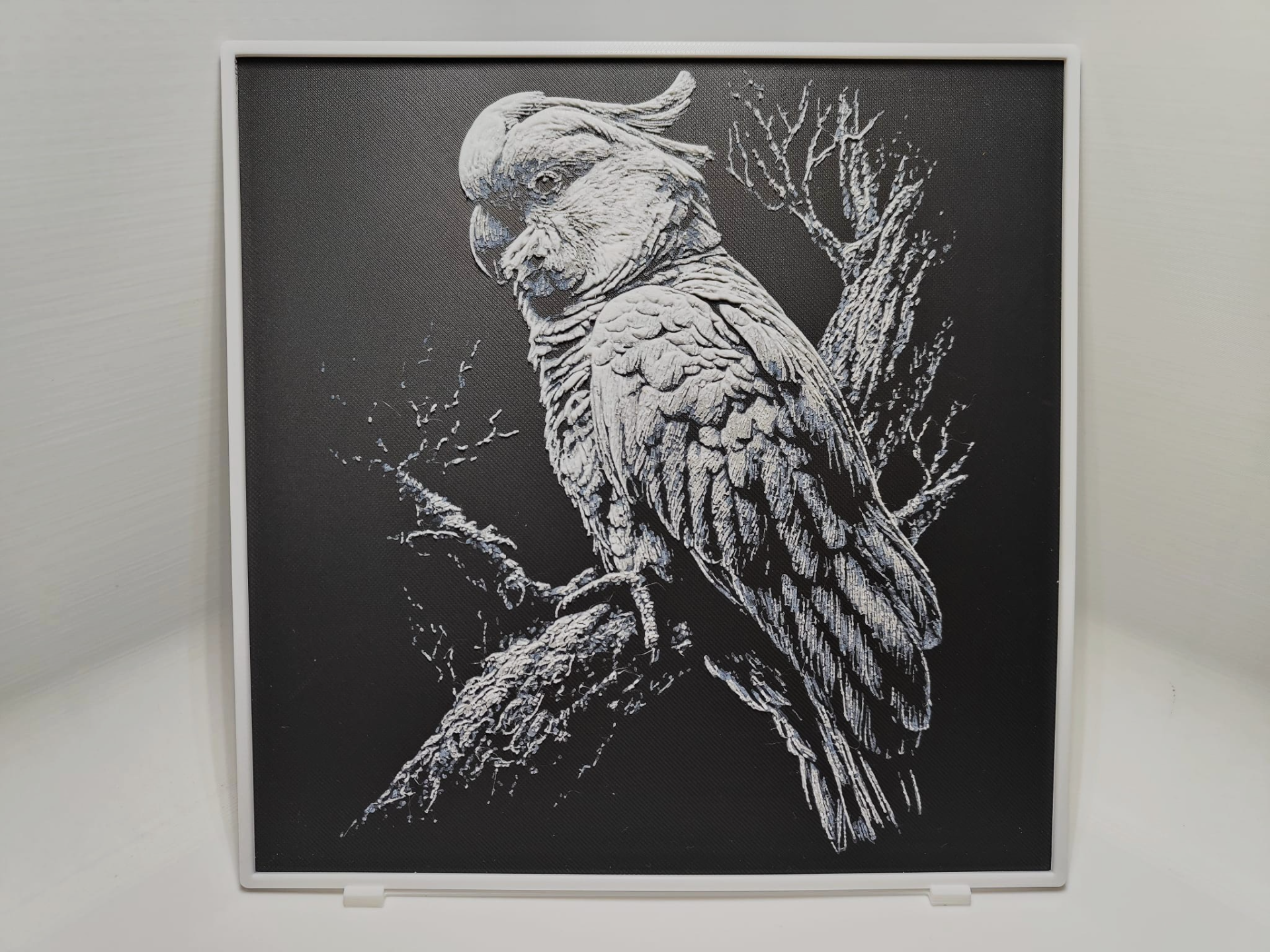 Cockatoo - Hueforge