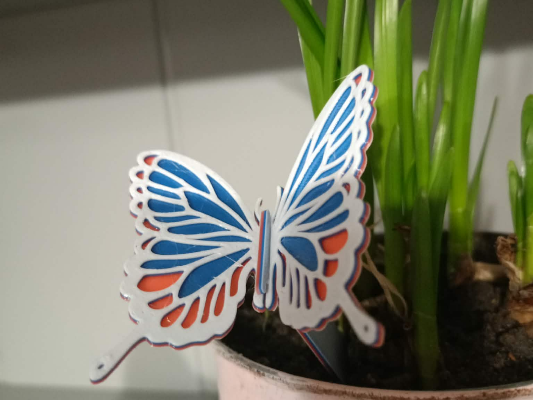 Customizable Butterfly
