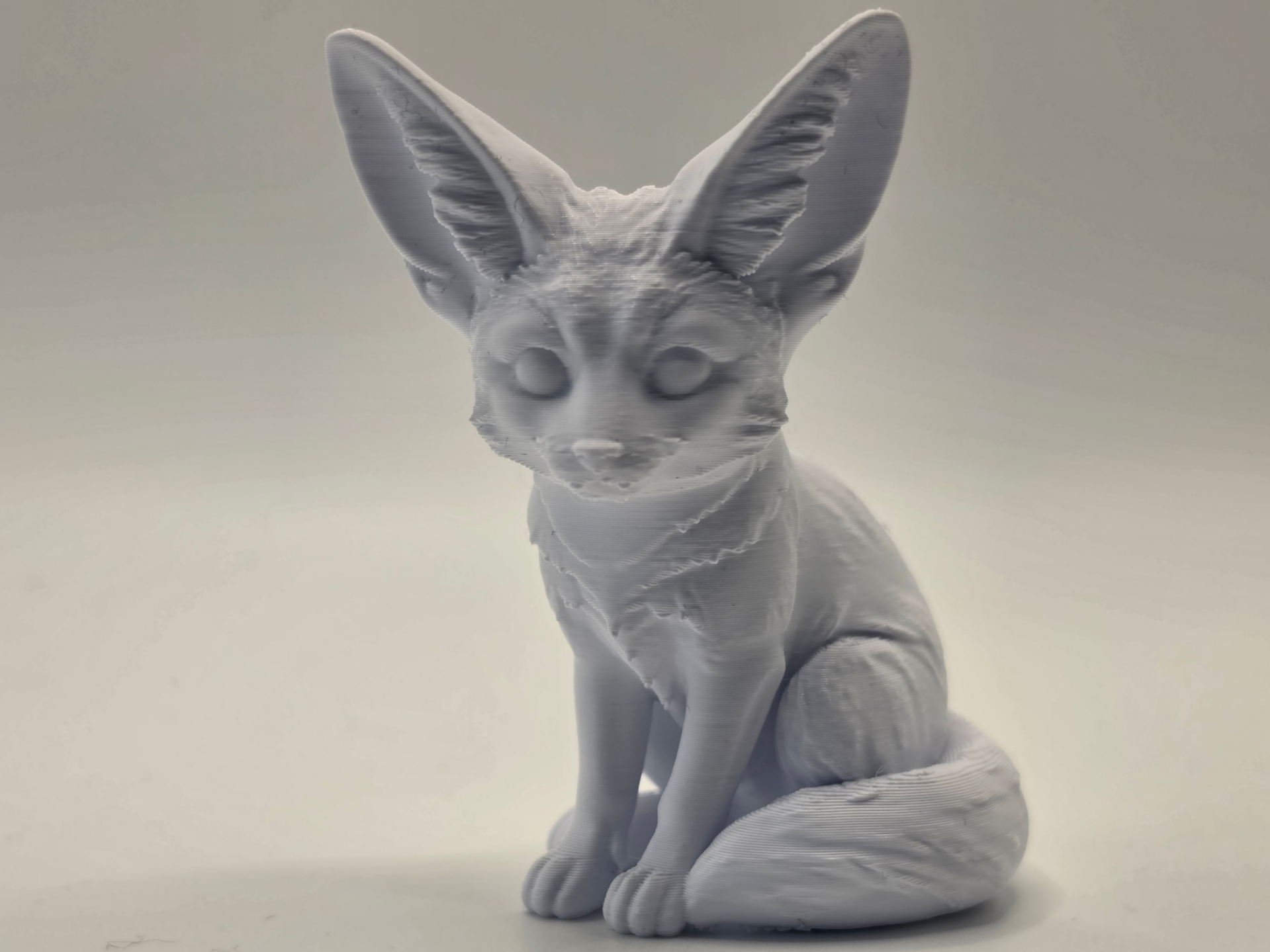 Fennec Fox – Desert Animal with Big Ears