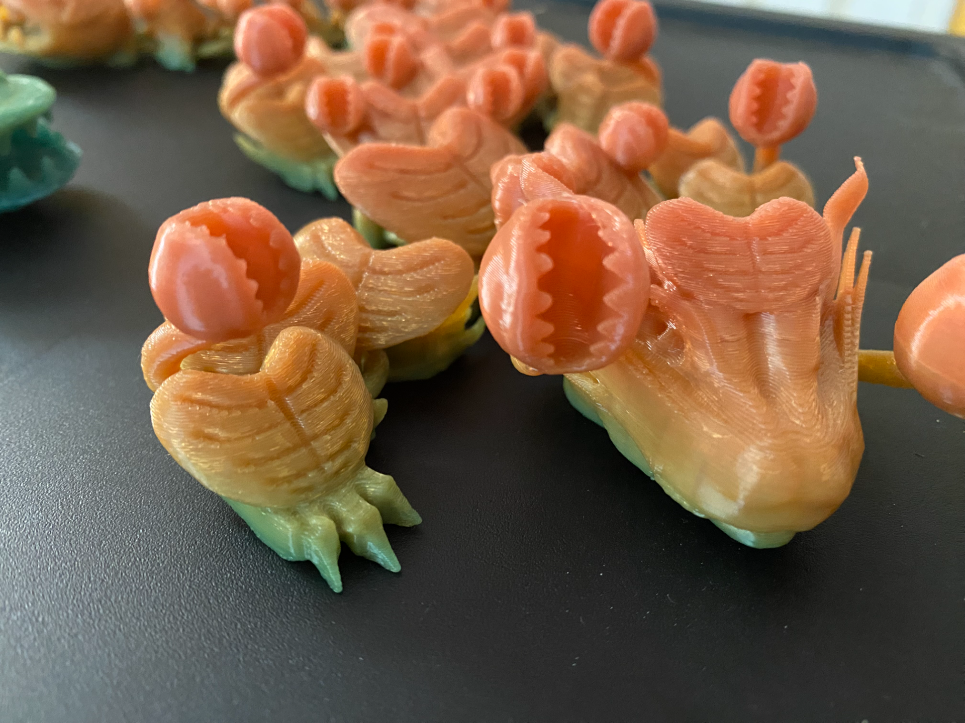 Articulated Flytrap Dragon