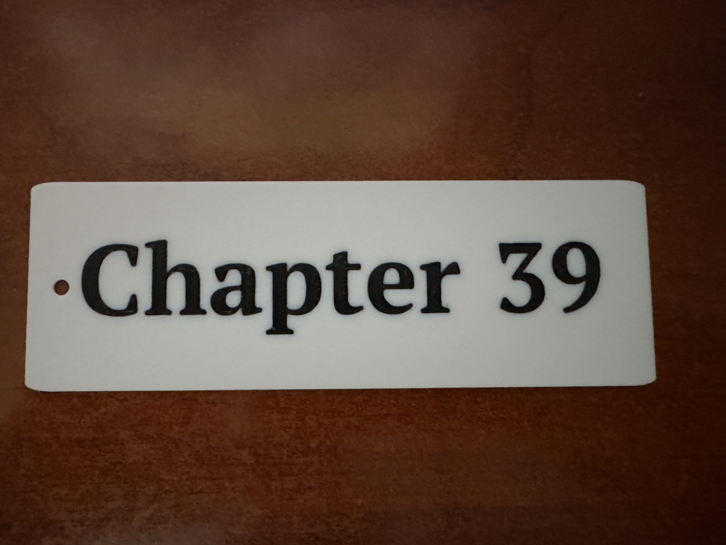 Chapter 39 Bookmark