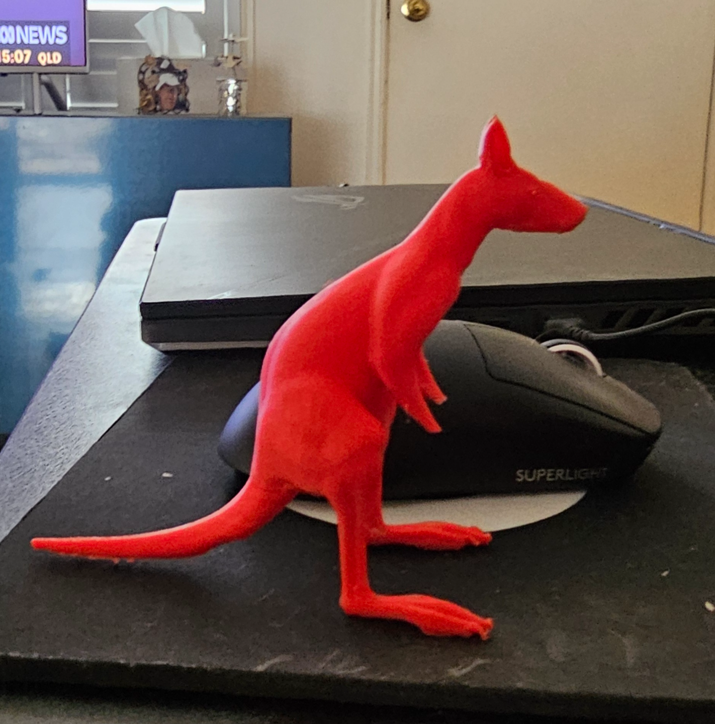 Kangaroo