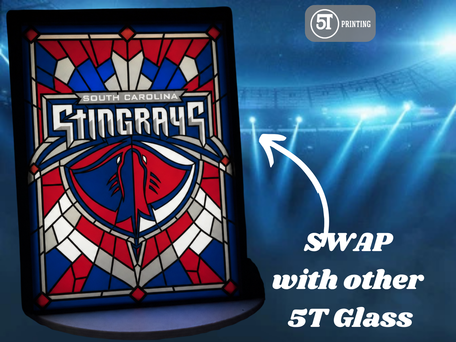 South Carolina Stingrays light (swappable glass)
