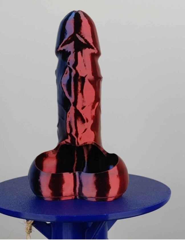 Anatomically Correct Penis and Vulva planters