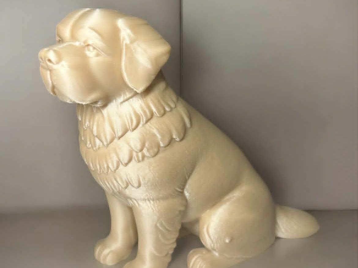 Saint Bernard