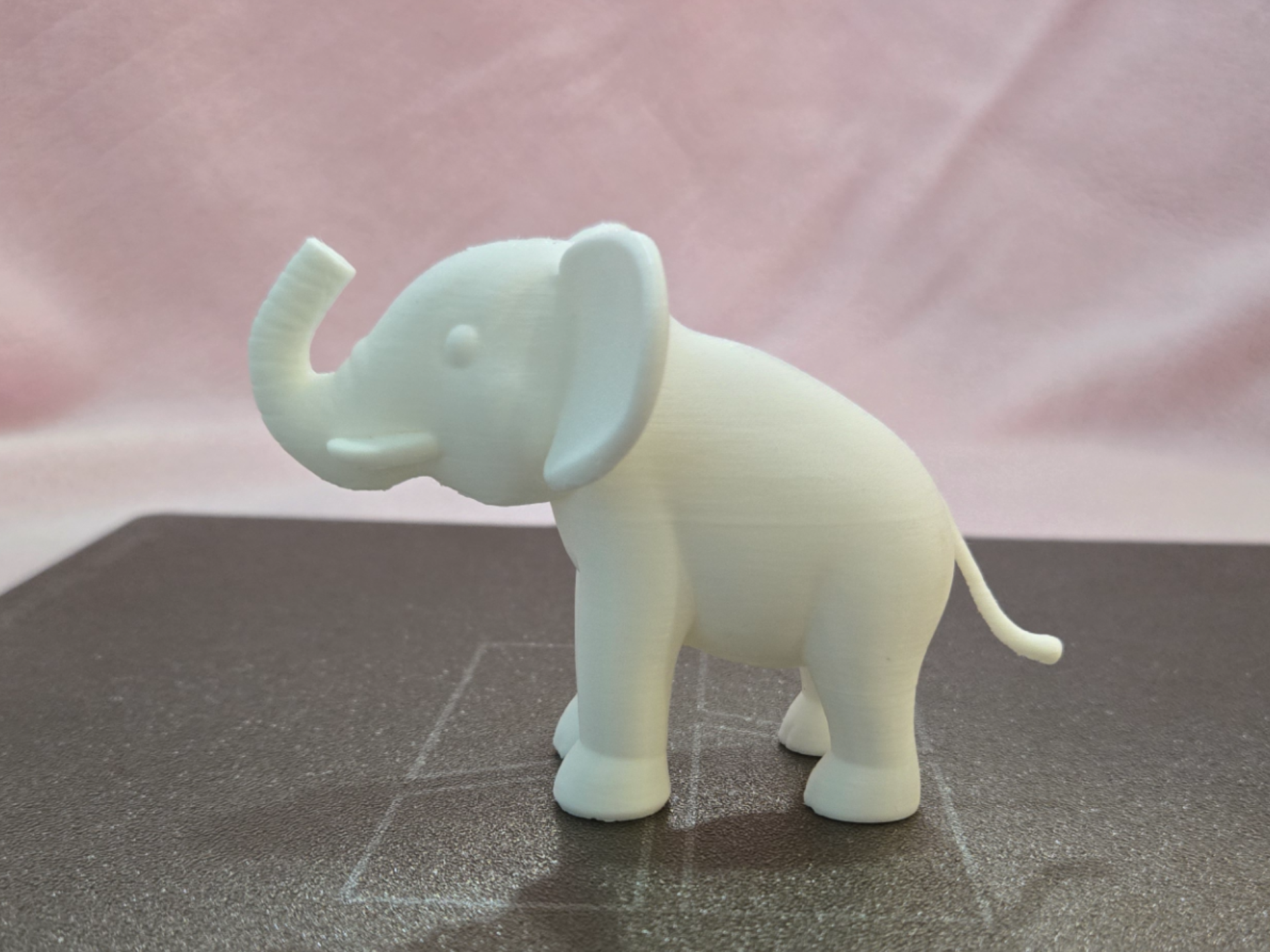 Cute Baby Elephant