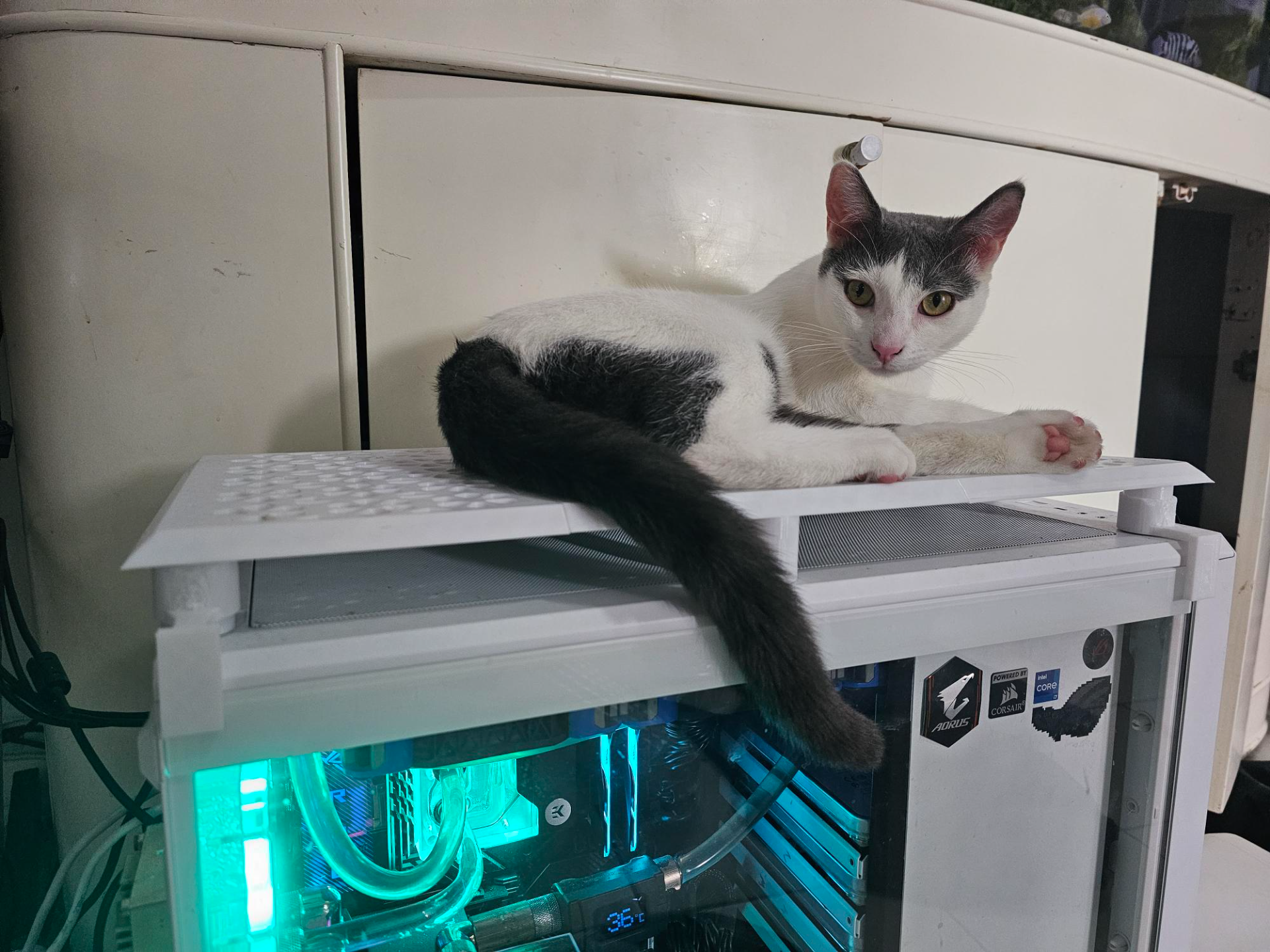 pc fan shroud cat friendly for fractal meshify 2