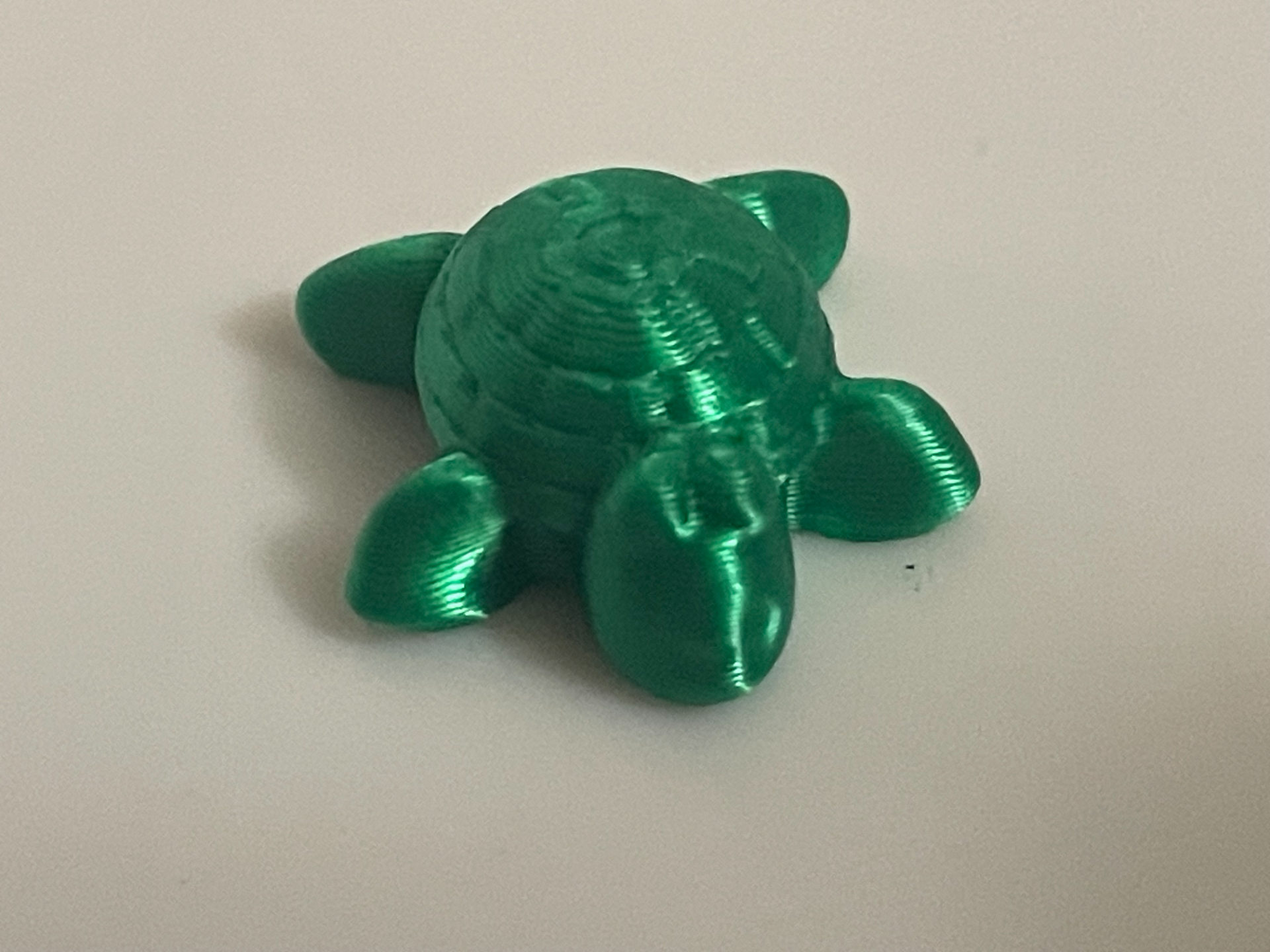 Tiny Baby Turtle (2 grams)