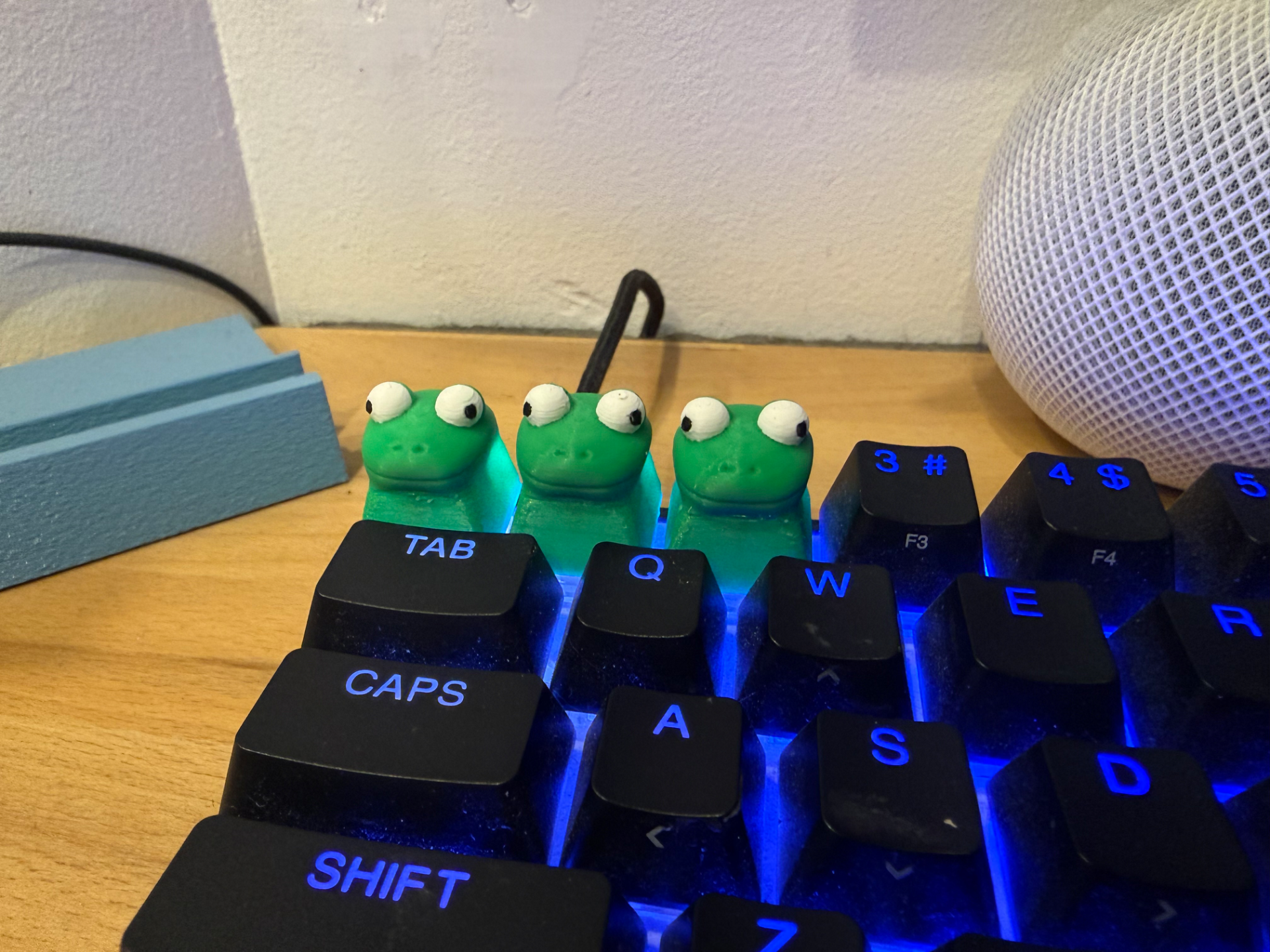 Lizard Keycap Meme