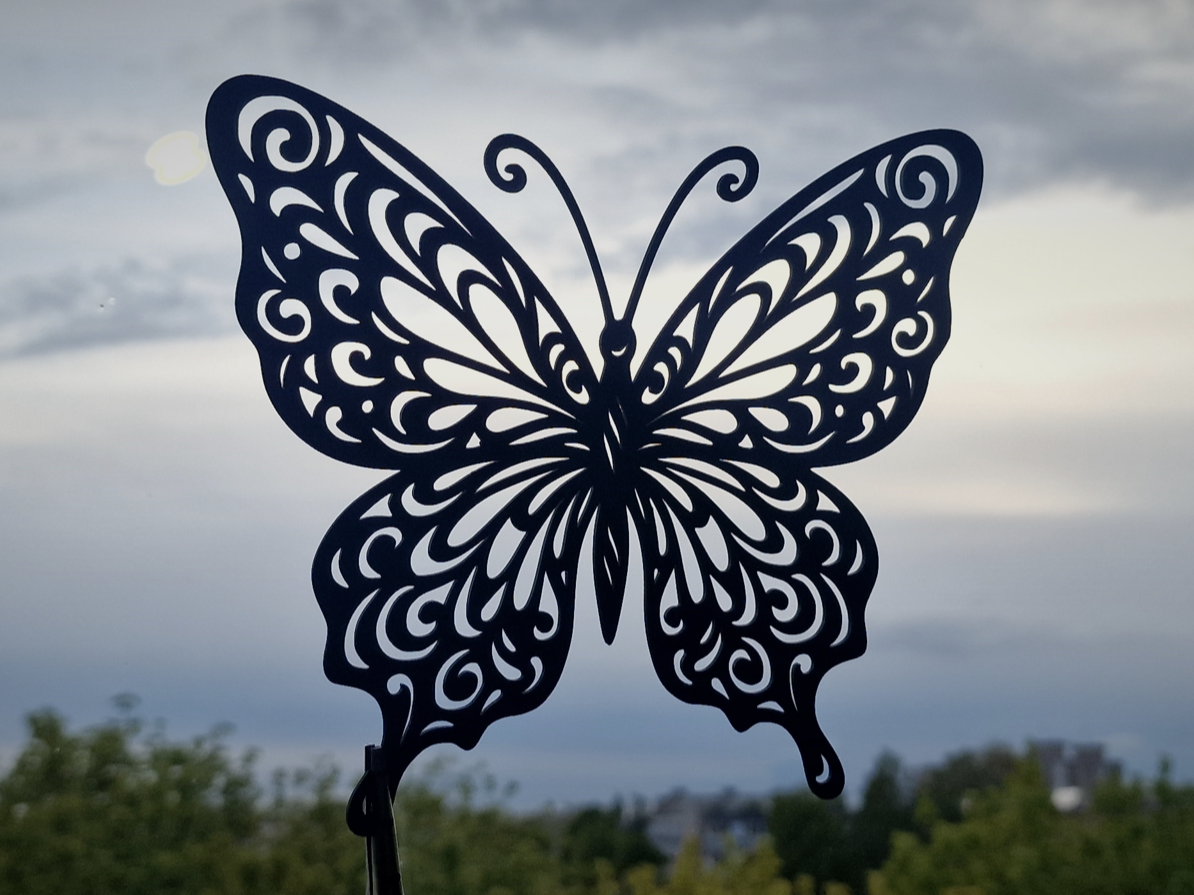 Butterfly design