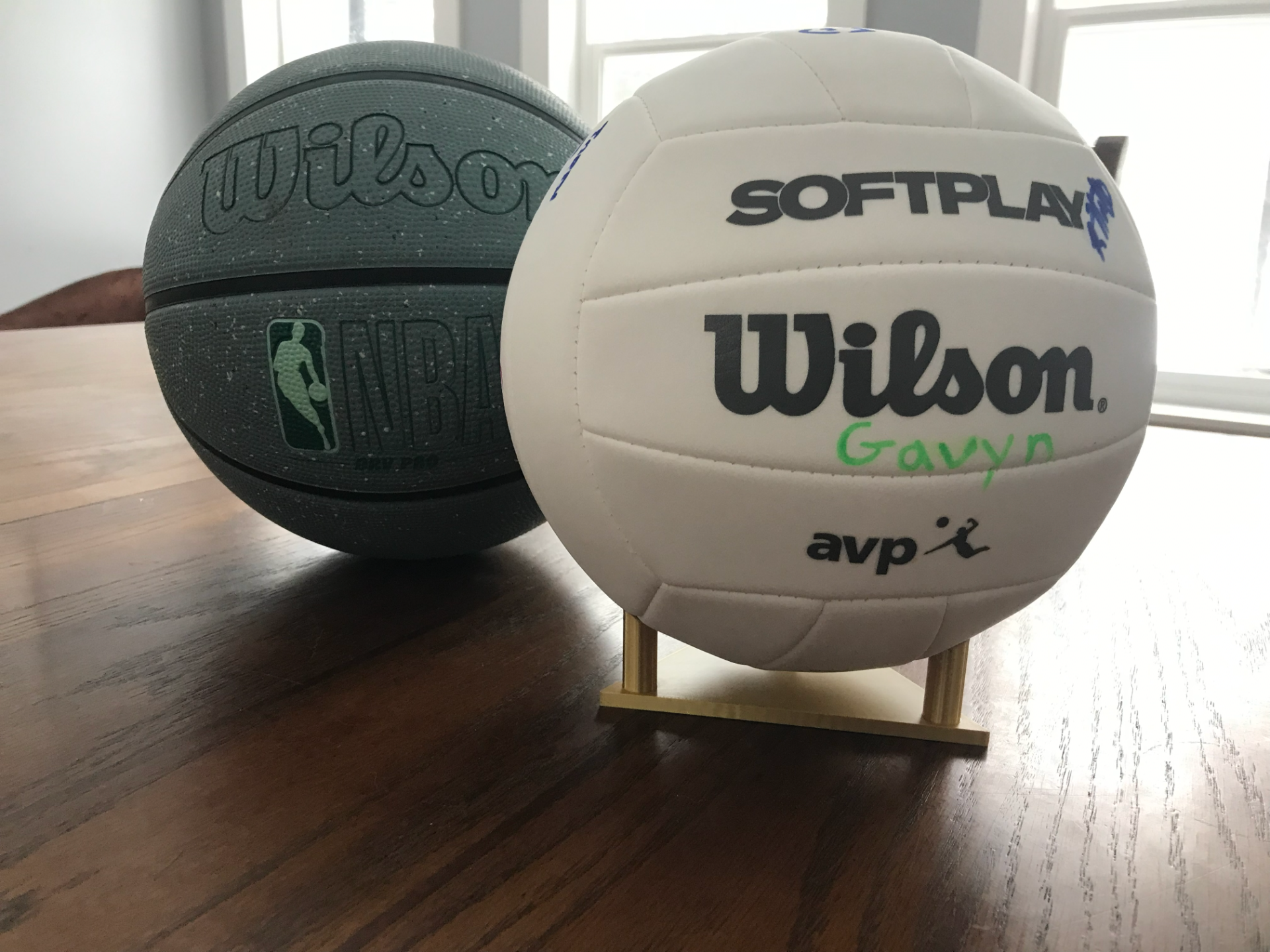Sports Ball Stand