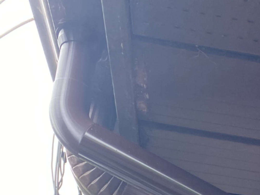 flat roof gutter connector DN50