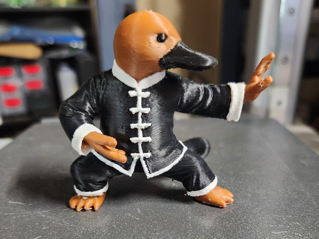 School Logo; Tai Chi Platypus