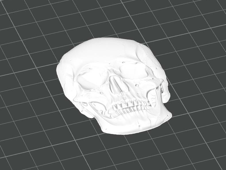 Skull Relief