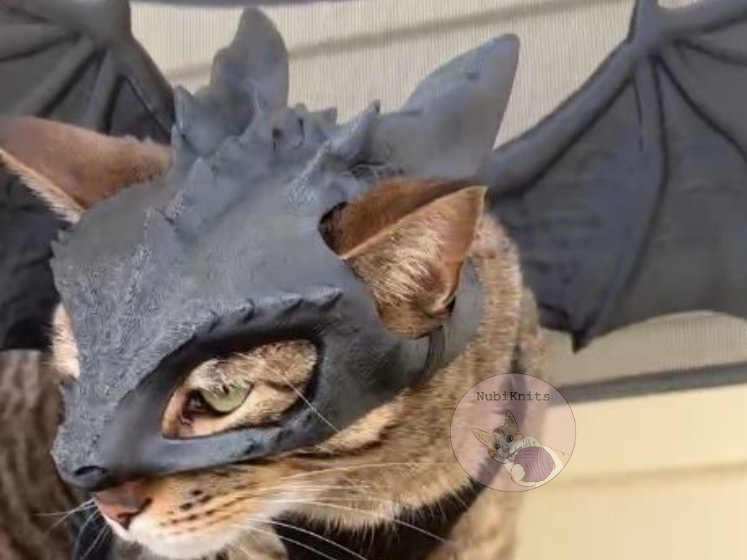 Dragon Cat Mask - Tairn and Adarna