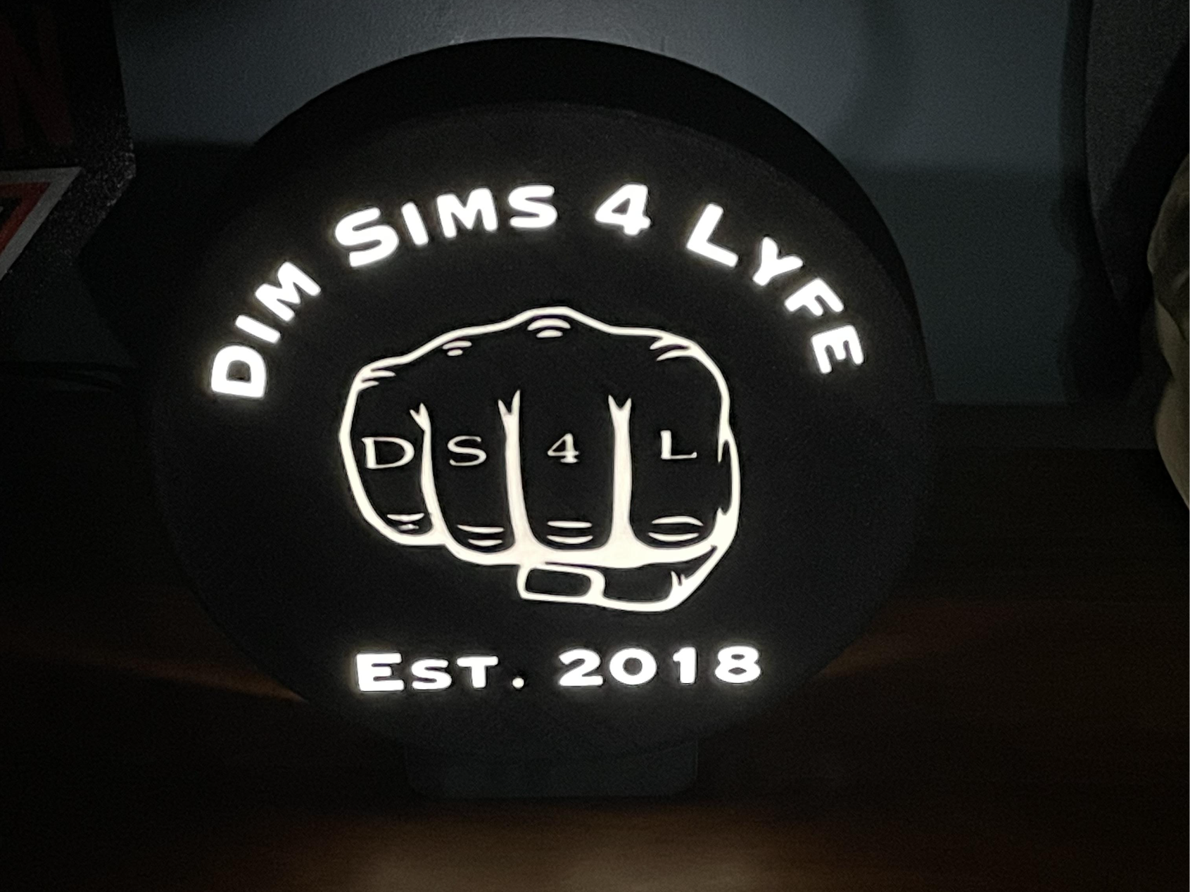 Dim Sims 4 Lyfe Light Box