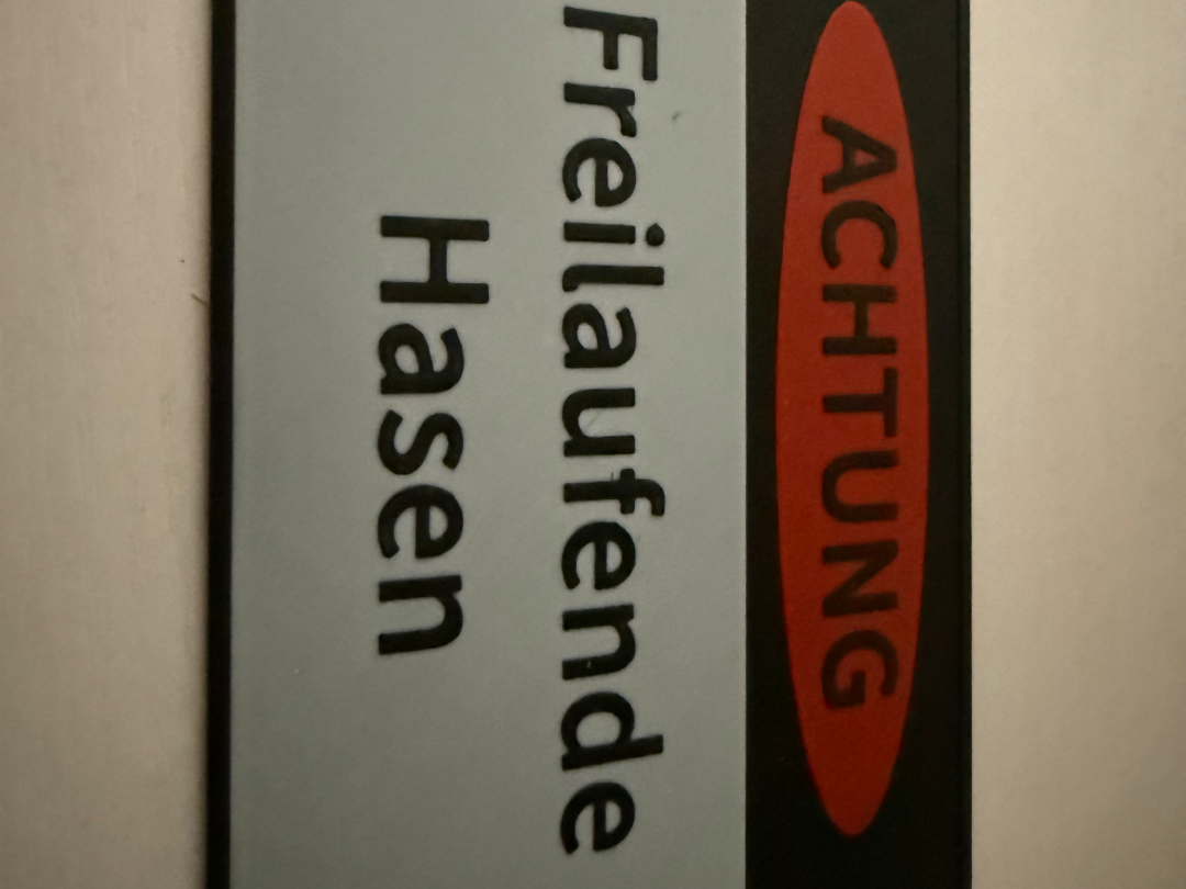 Freilaufende Hasen