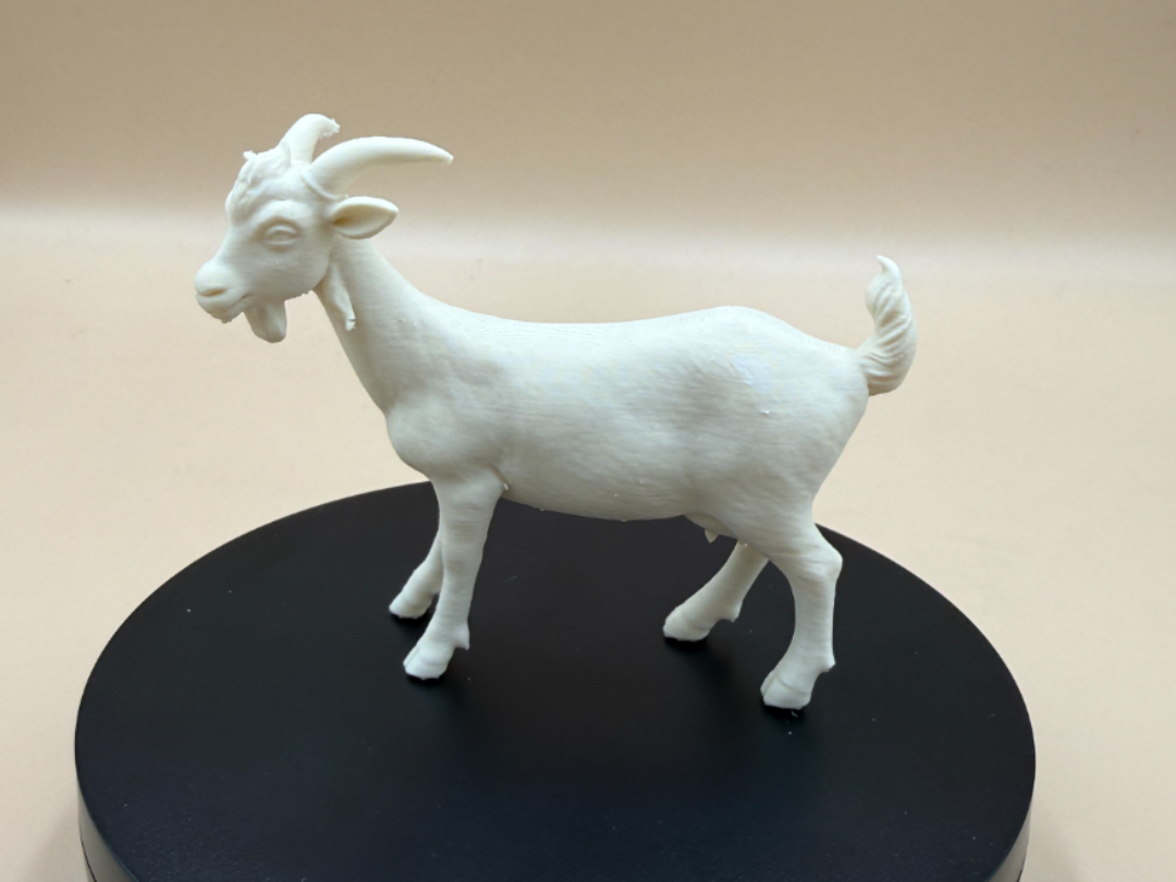 Realistic Standing Goat
