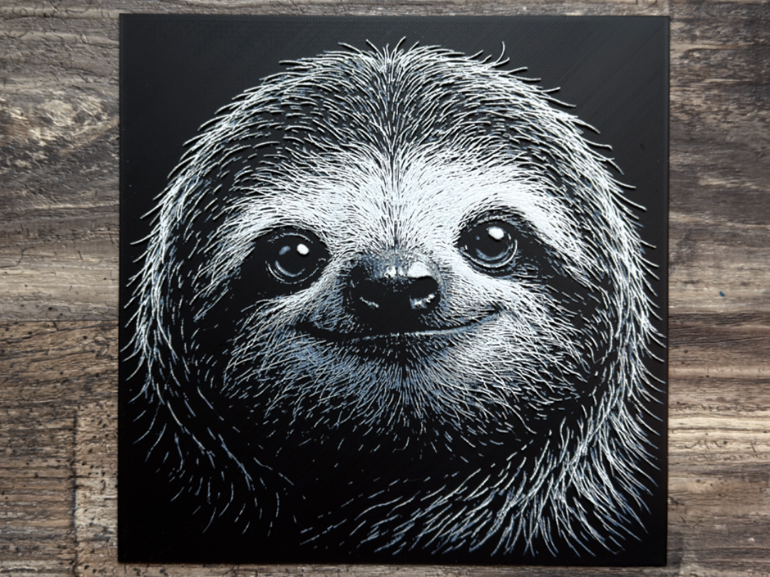 Sloth Wildlife Series