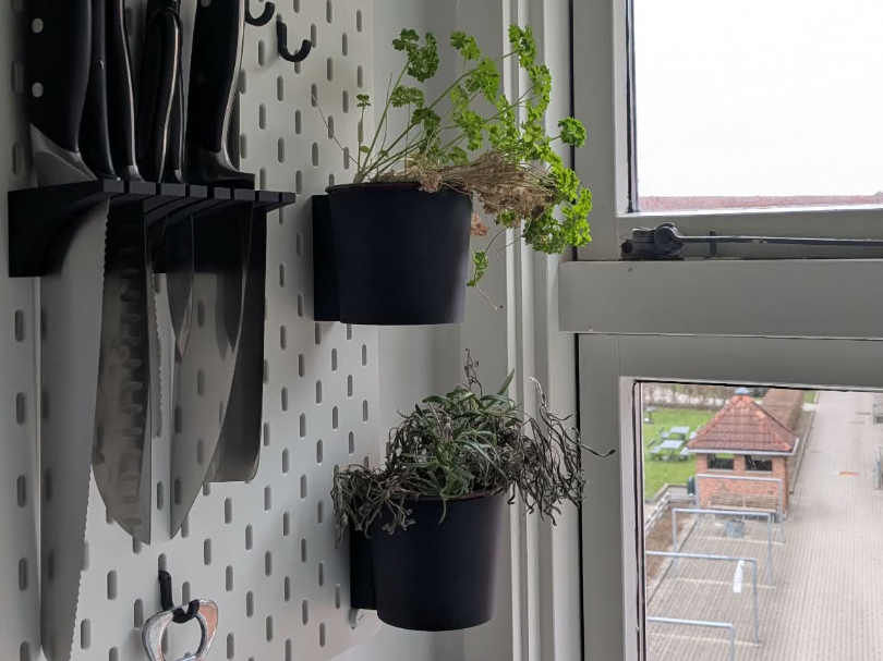 SKADIS Herb Pot Holder – Perfect for Kitchen Herbs