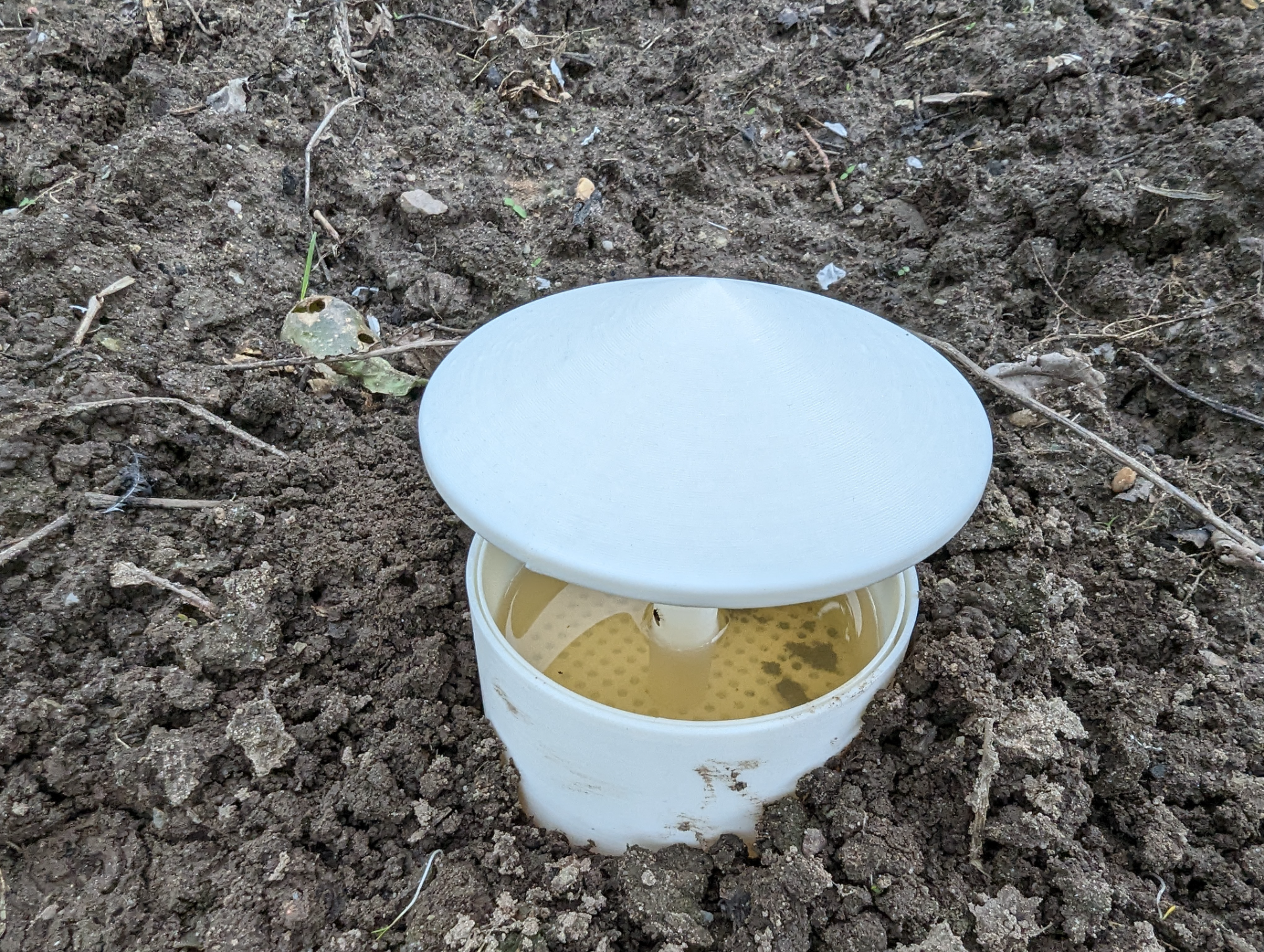 Snail trap