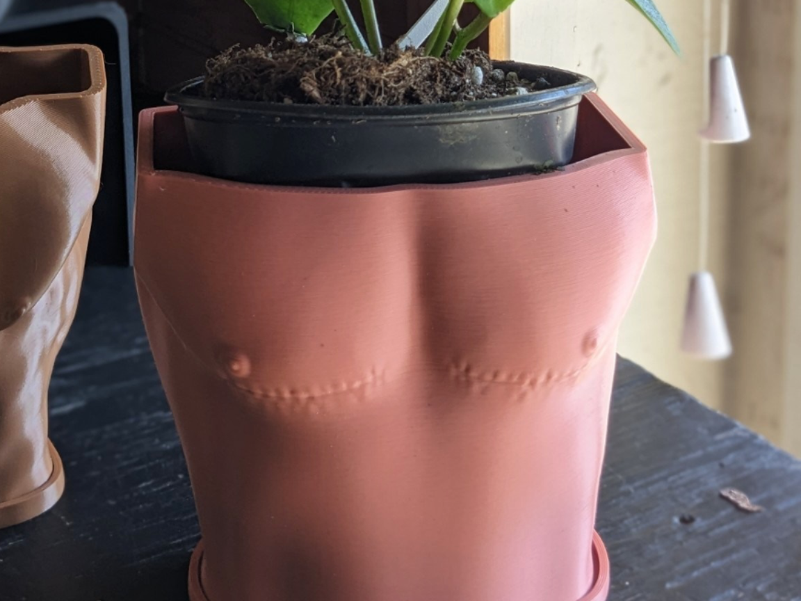 Top Surgery Plant Pot