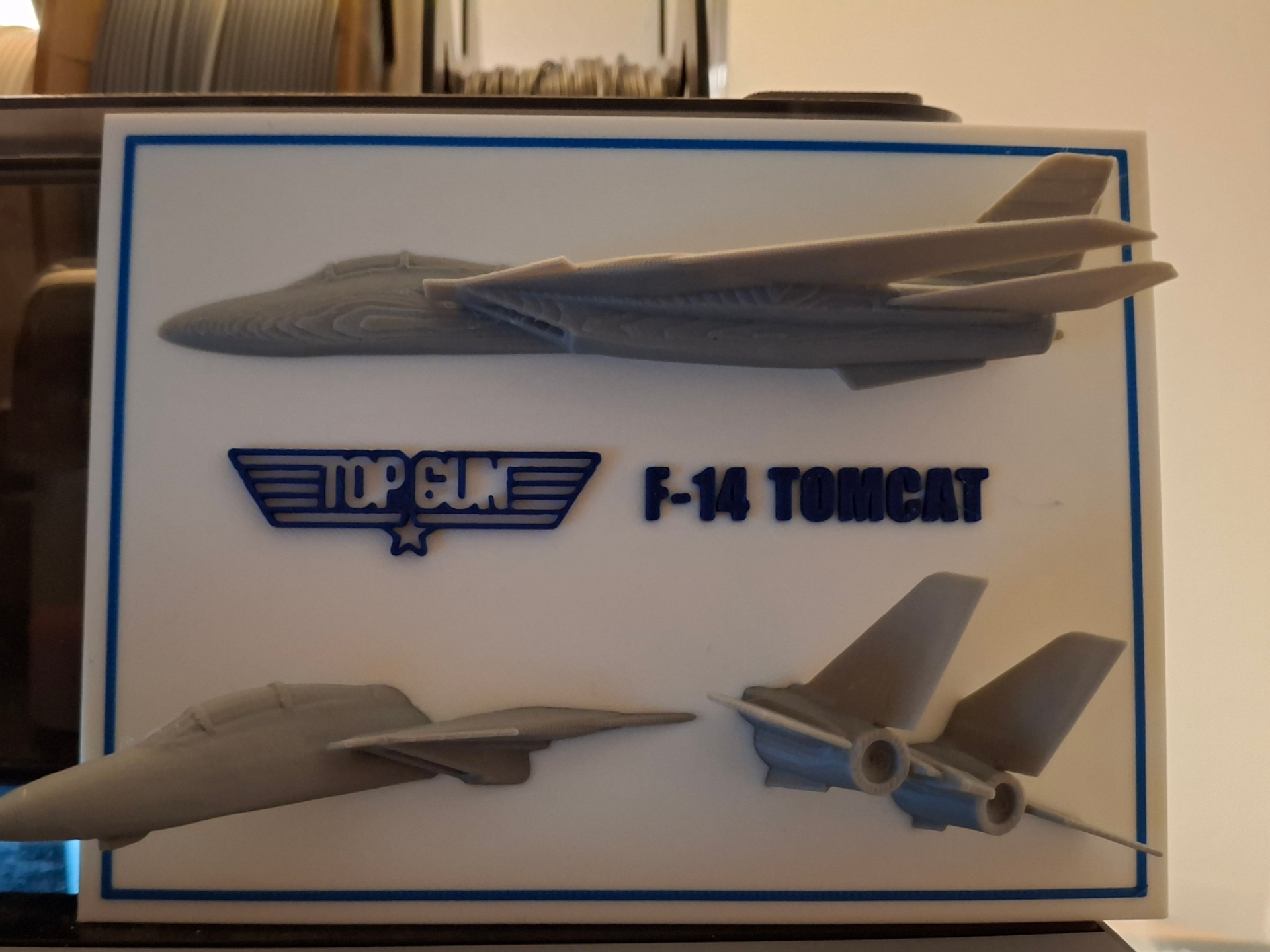Grumman F14 Tomcat sur plaque en relief - TOP GUN