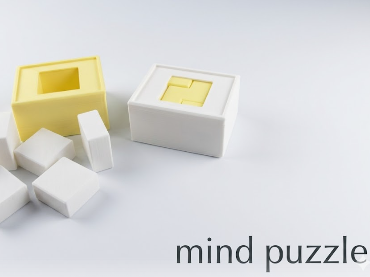 Box puzzle