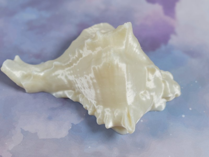 SeaShell - Detailed Model - Easy Print