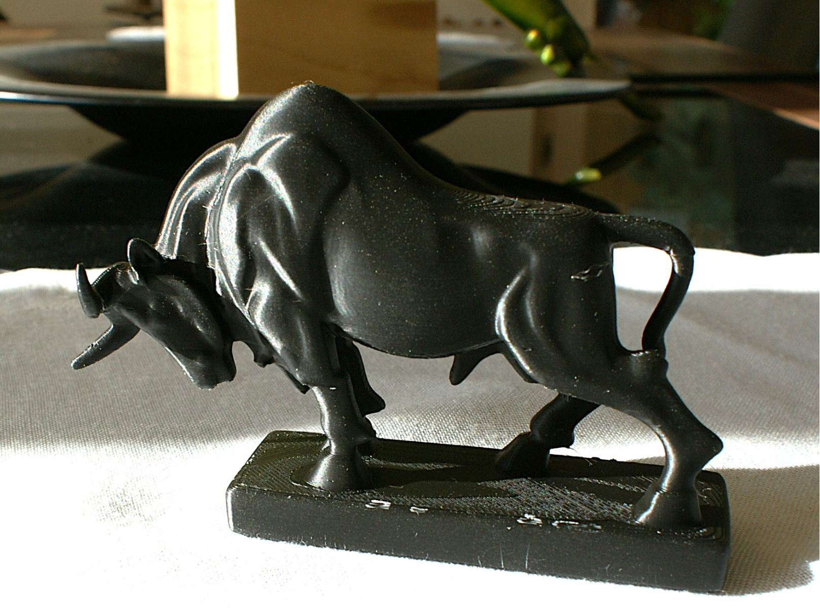 Stier