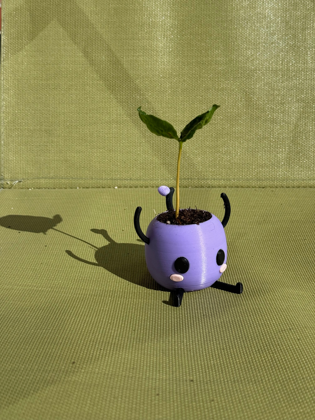 Stardew Valley Junimo Planter