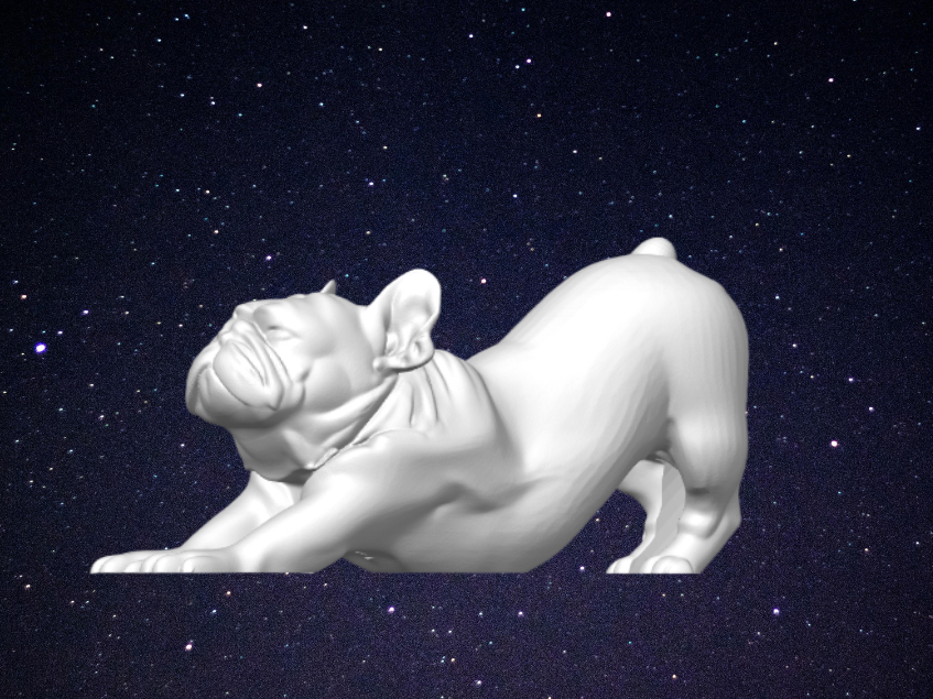 The Downward French Bulldog