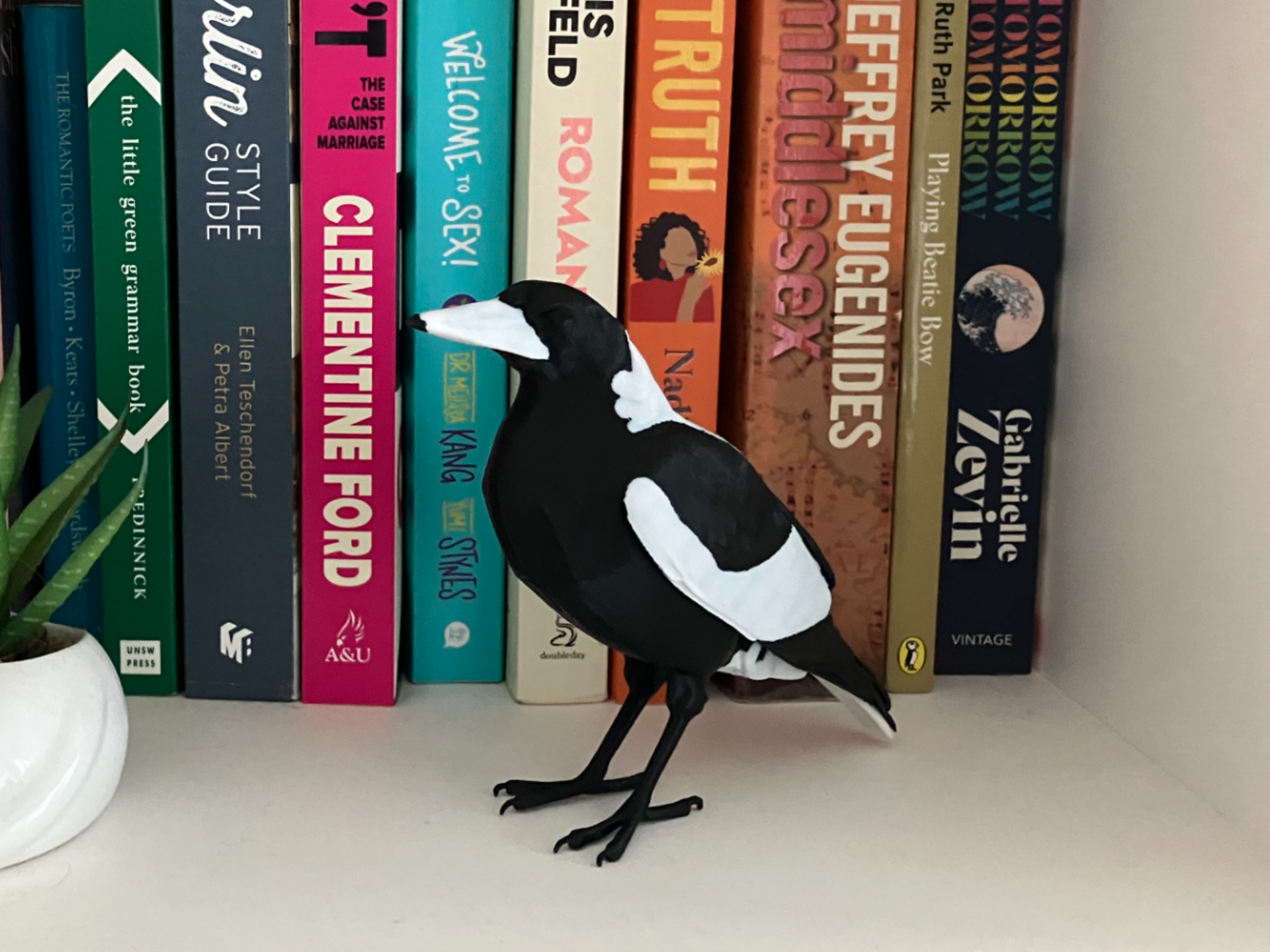 Magpie (Australian)