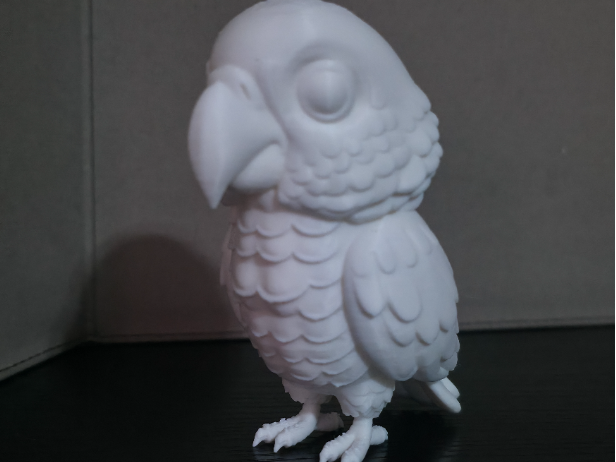 African Grey