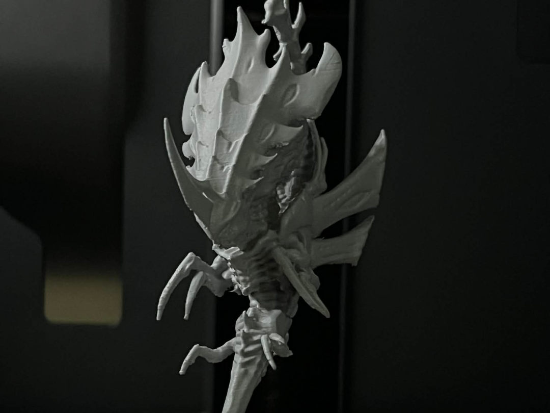 Space bigger brain bug
