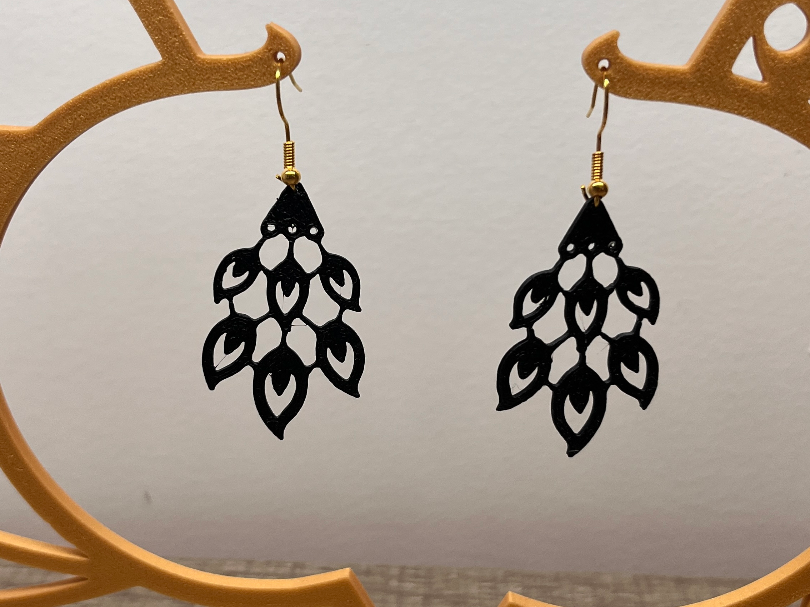 Earrings Fashion