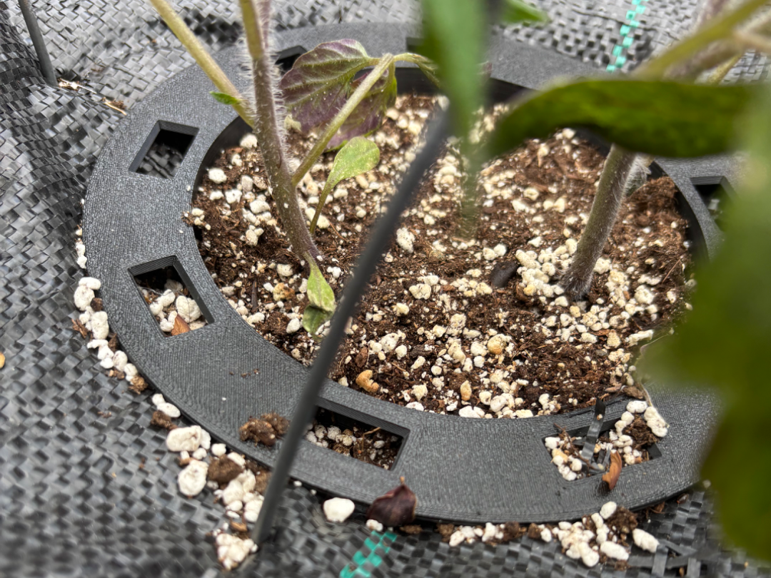 Garden Tarp Anchor with Central Planting