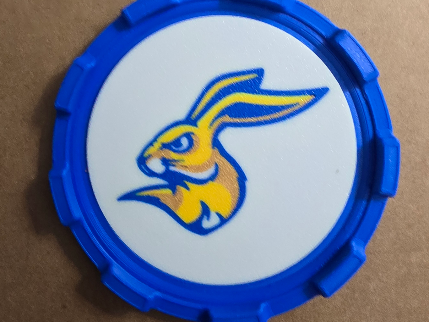 COASTER MASTER INSERT - SOUTH DAKOTA STATE
