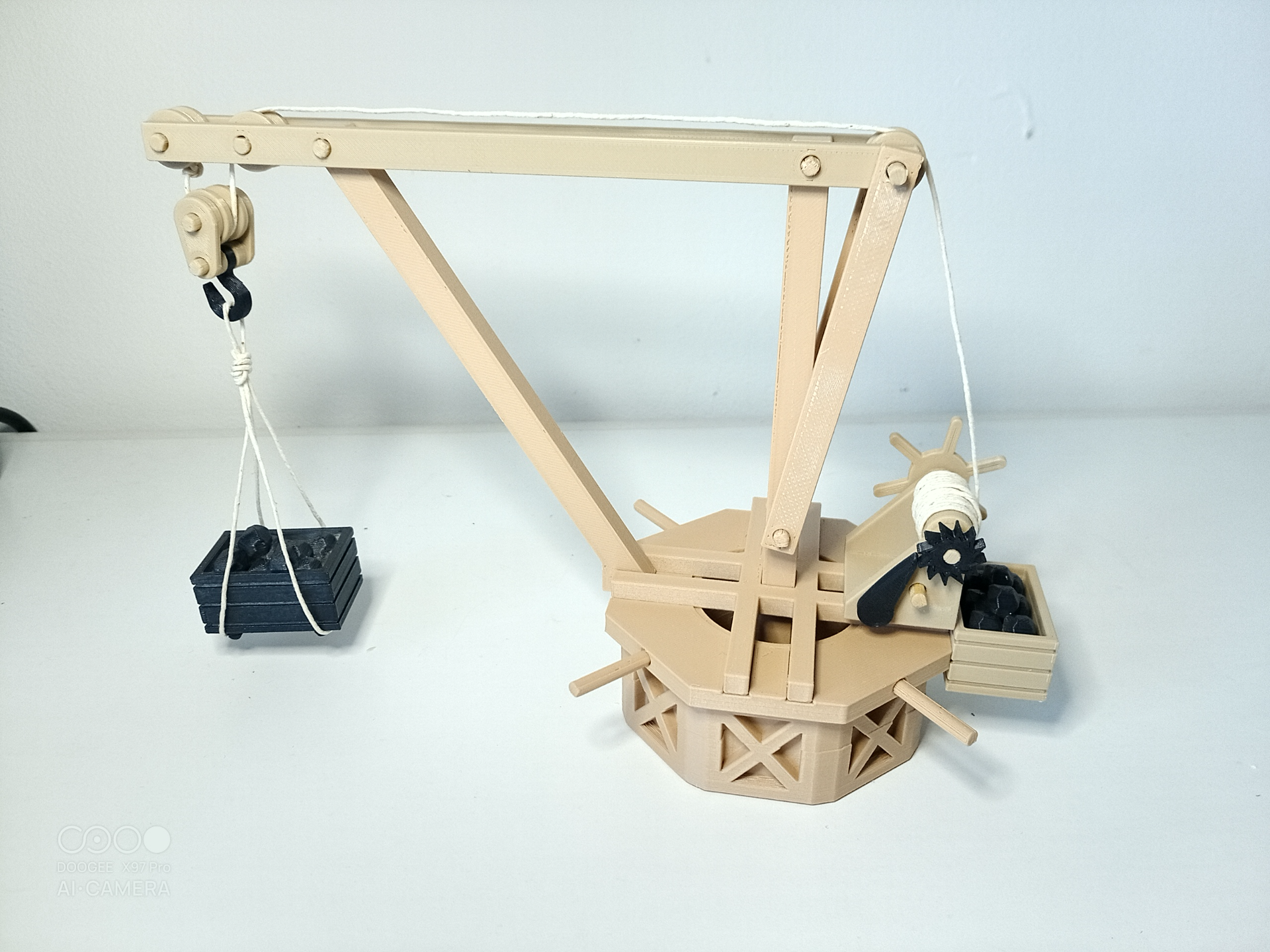 Gru Girevole di Leonardo Da Vinci