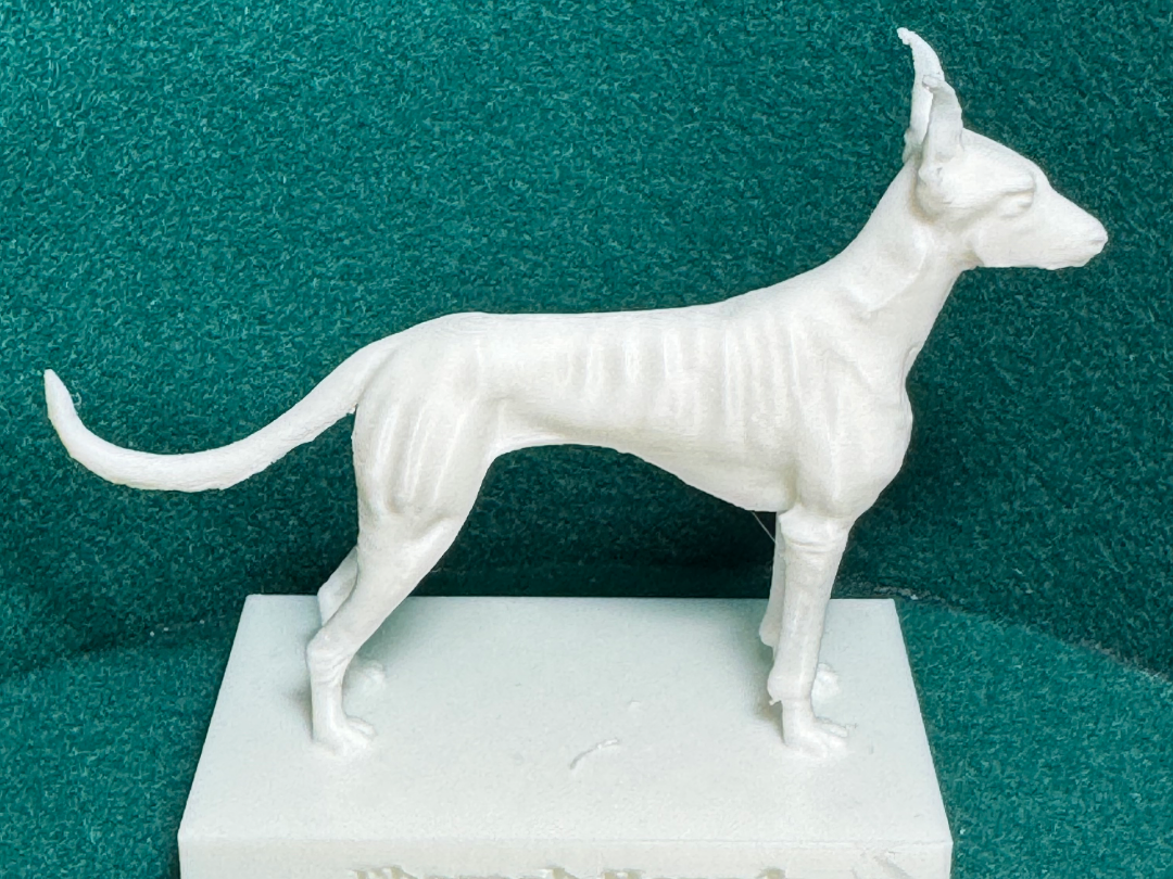 Dog Breeds Minis: Pharaoh Hound (#64 of 80+)