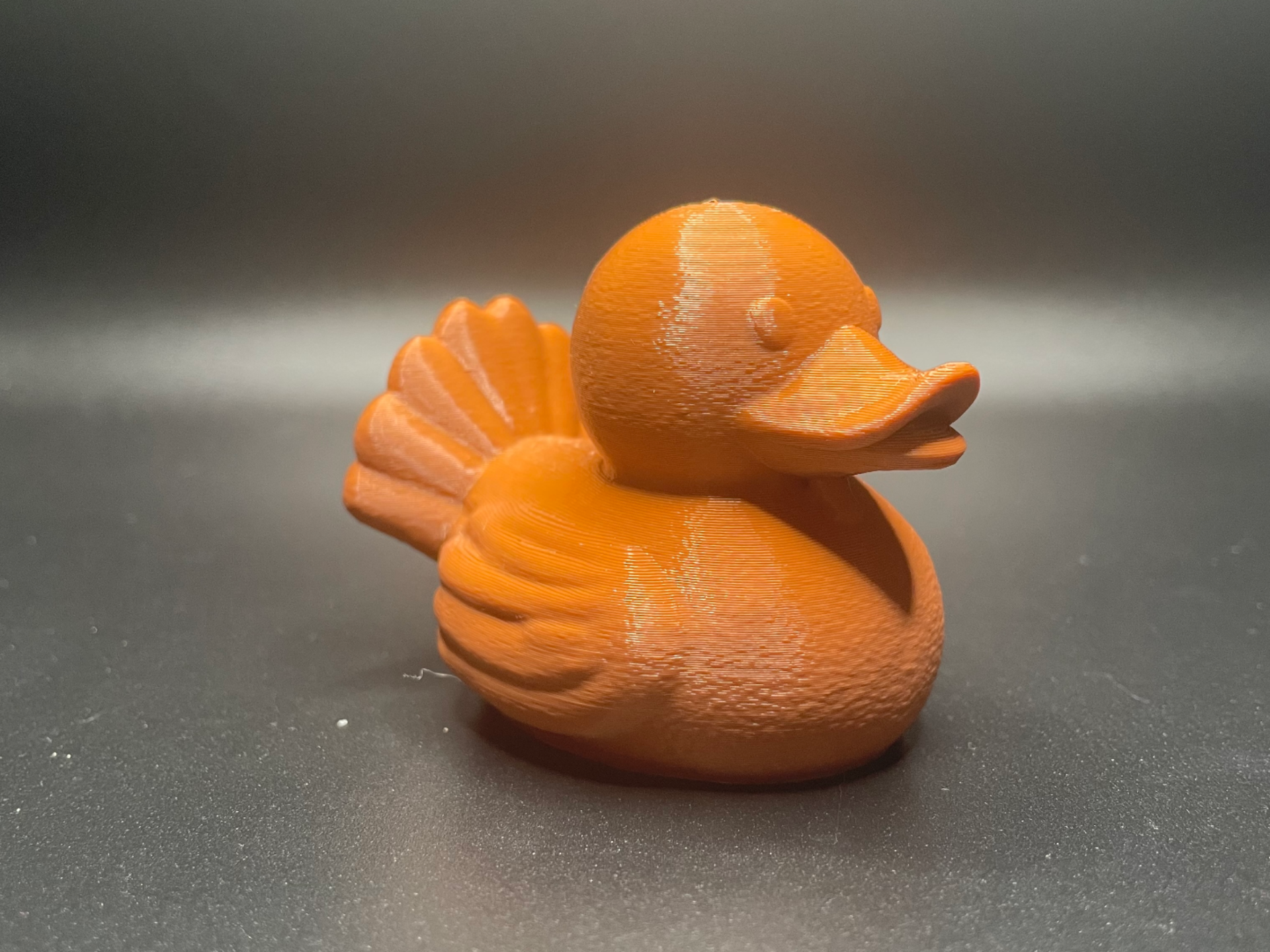 Turkey Duck
