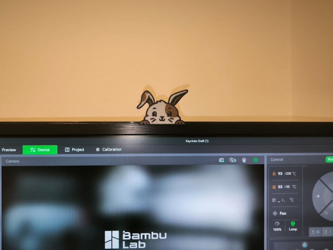 Monitor peekaboo bunny