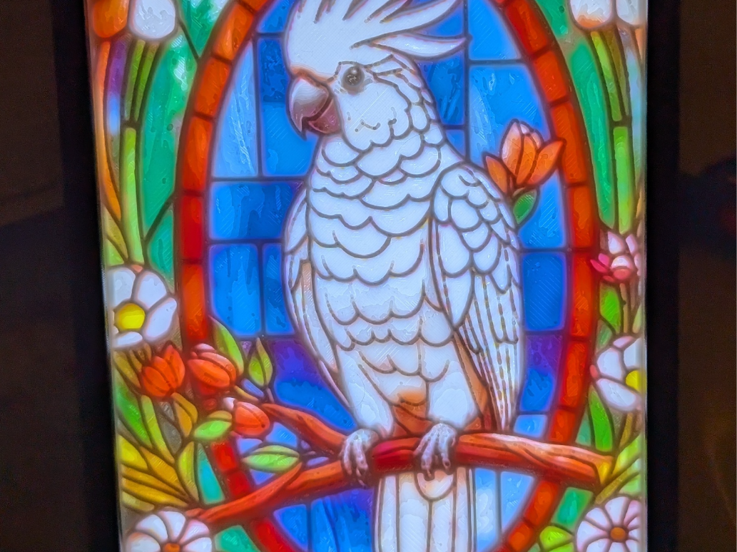 Cockatoo
