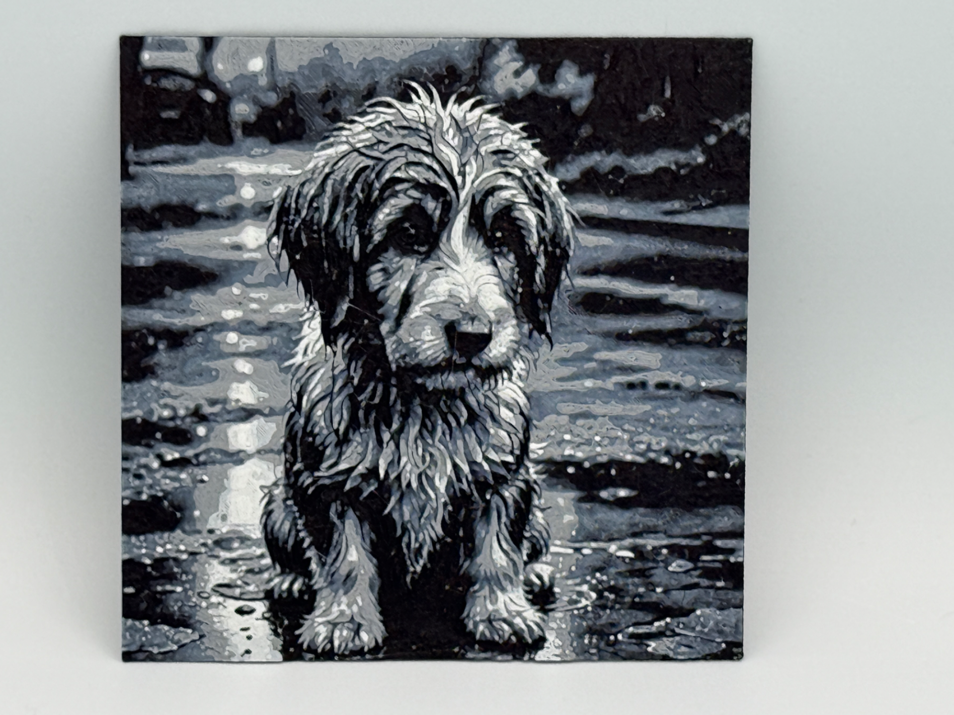 Sad Dog - Rescue Me!!