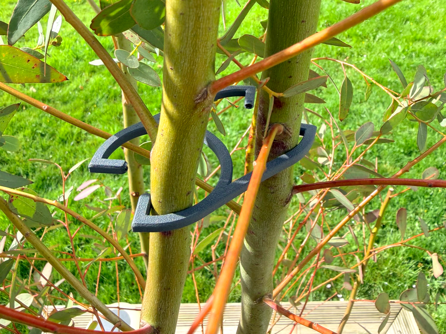 OMEGA 2 support de plante