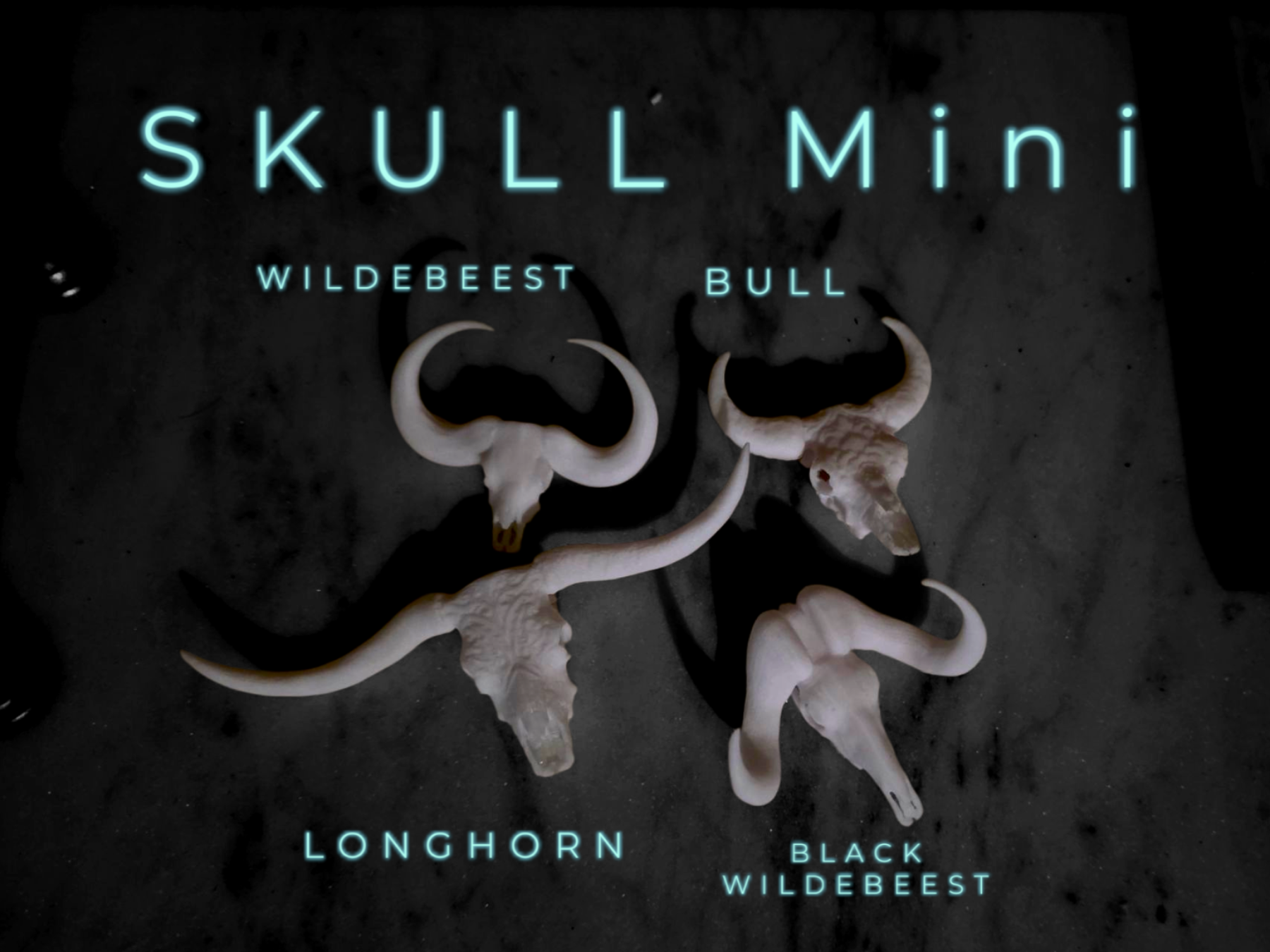 Skull Minis - Longhorn-Wildebeest-Buffalo-Bull